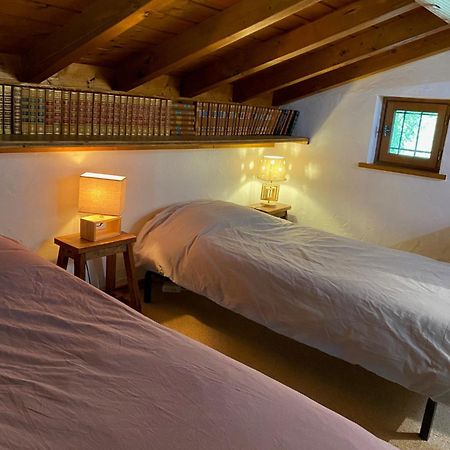 Chalet Erminea Шамони Экстерьер фото